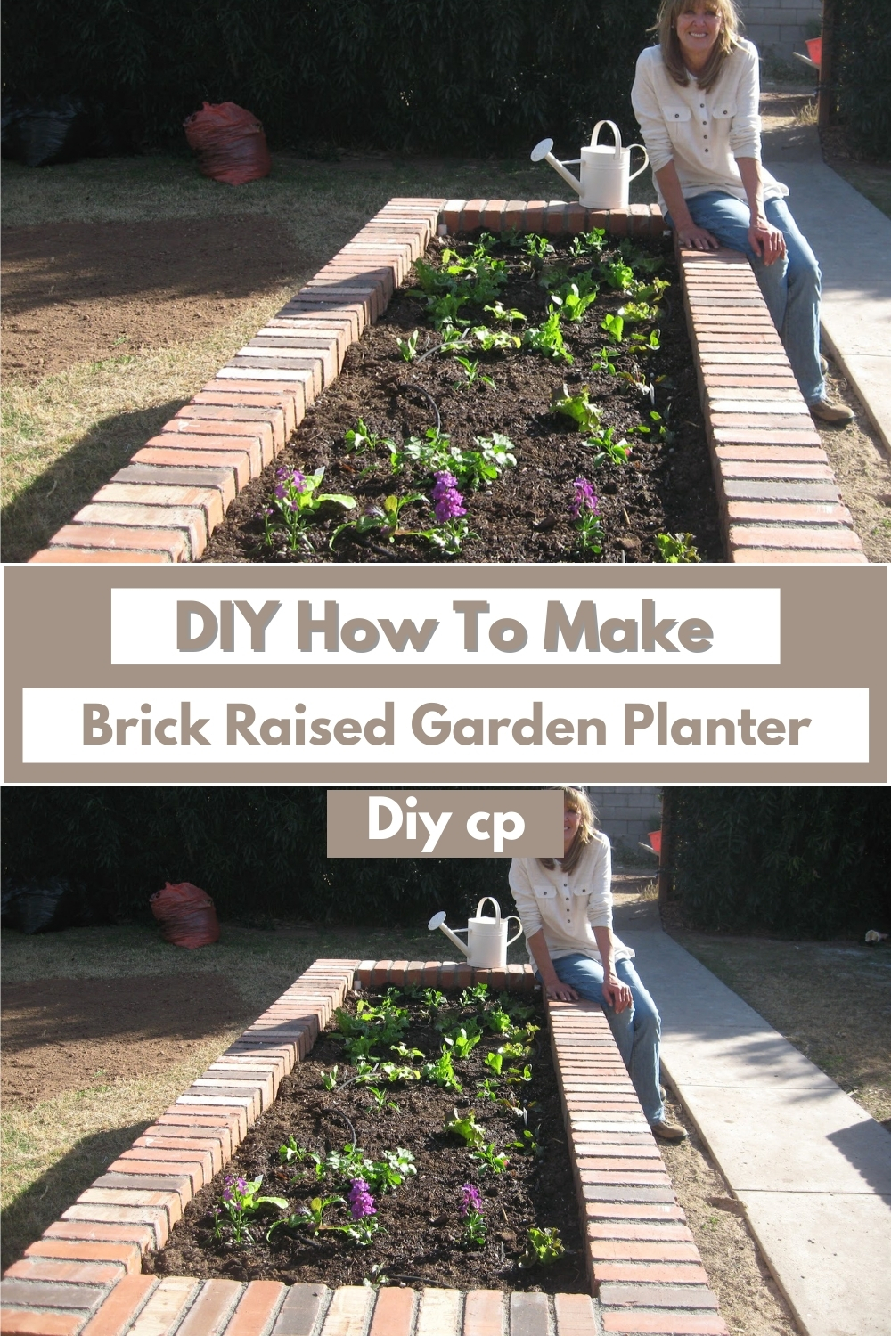 DIY Brick Raised Beds