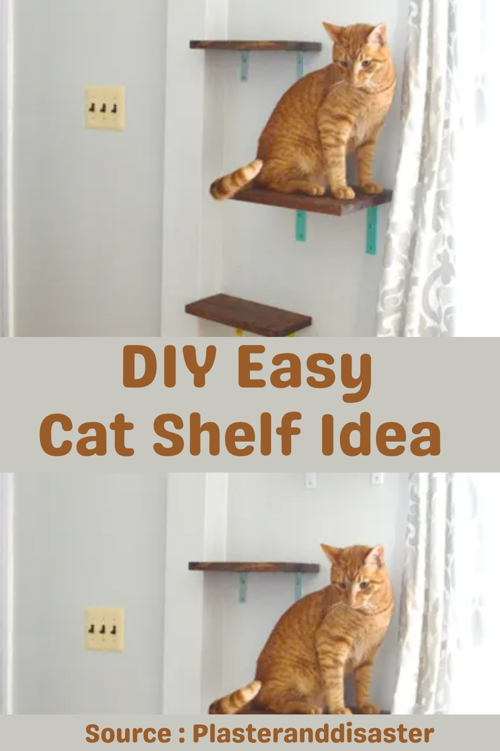 DIY Cat Shelf Idea (1)