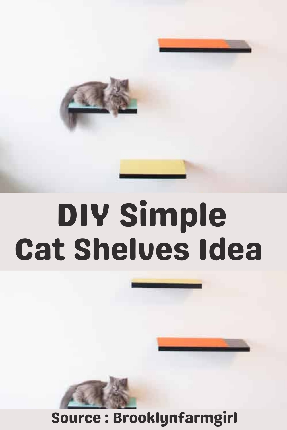 DIY Cat Shelves Idea