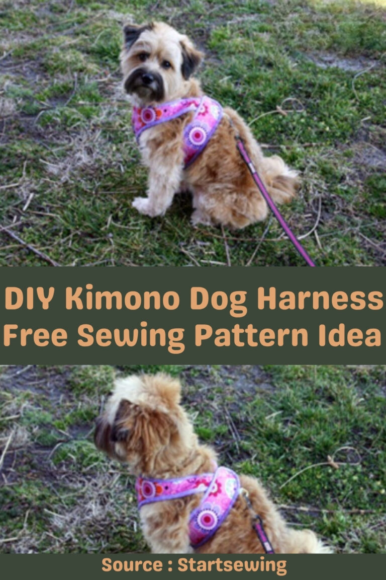 15 DIY Dog Harness Projects Easy & Custom Designs For Your Furry Friend ...