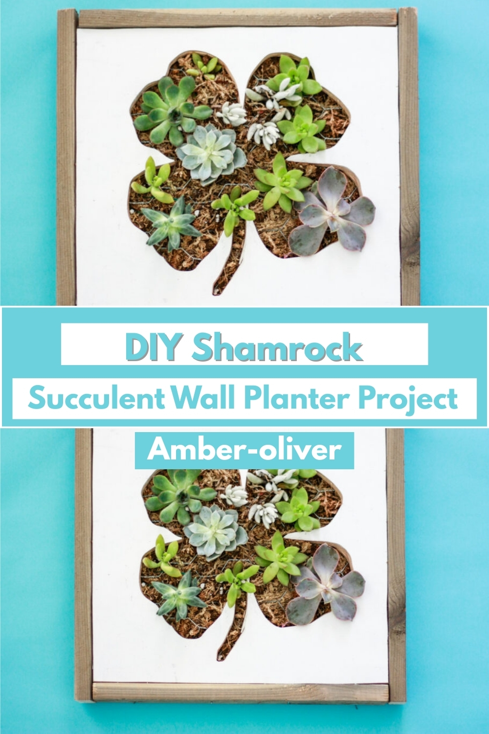 DIY Shamrock Succulent Wall Planter