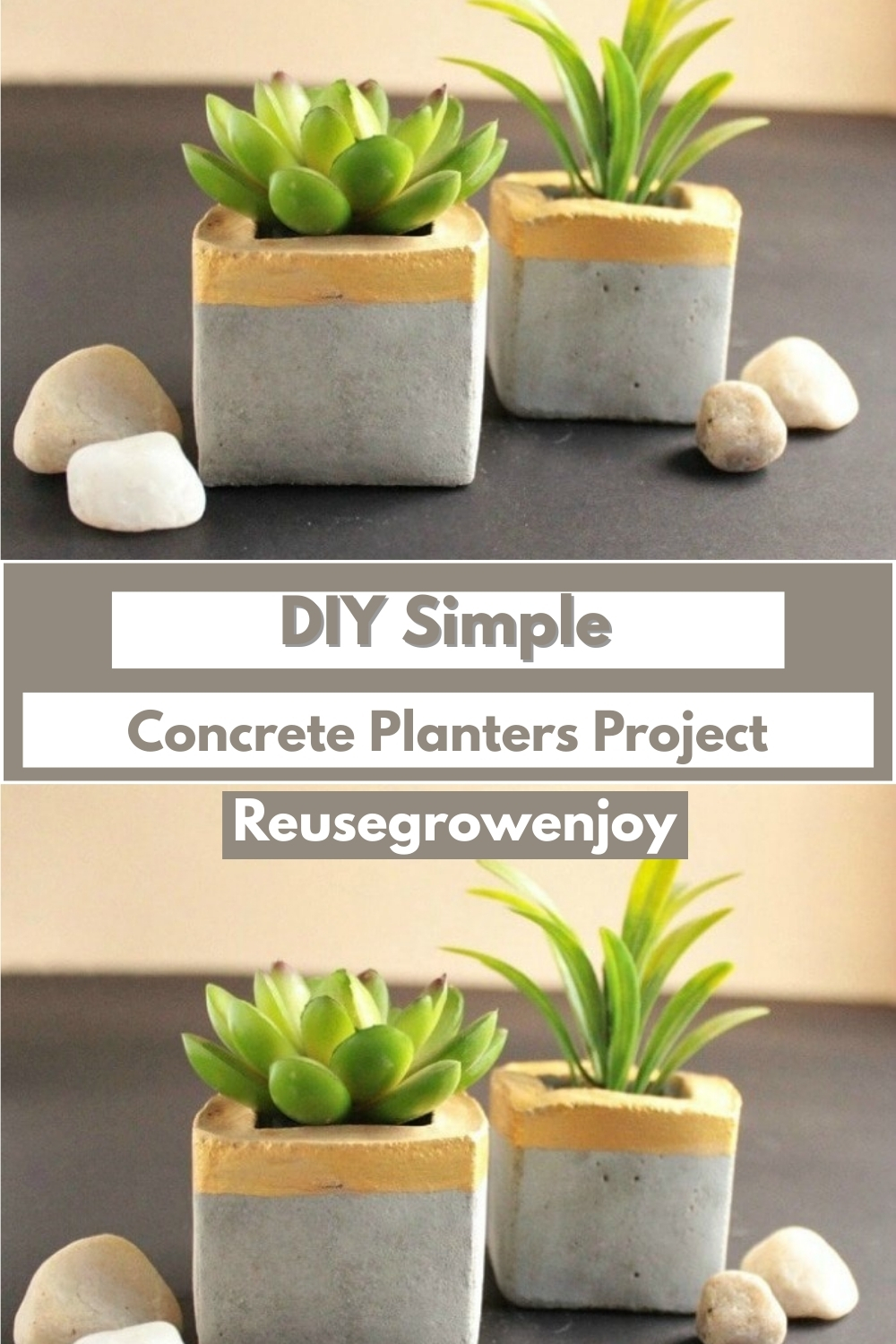 DIY Simple Concrete Planters