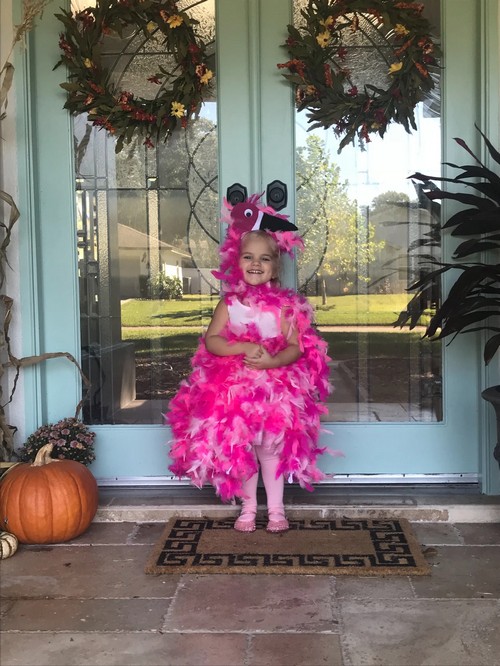 DIY No Sew Flamingo In 3 Easy Steps