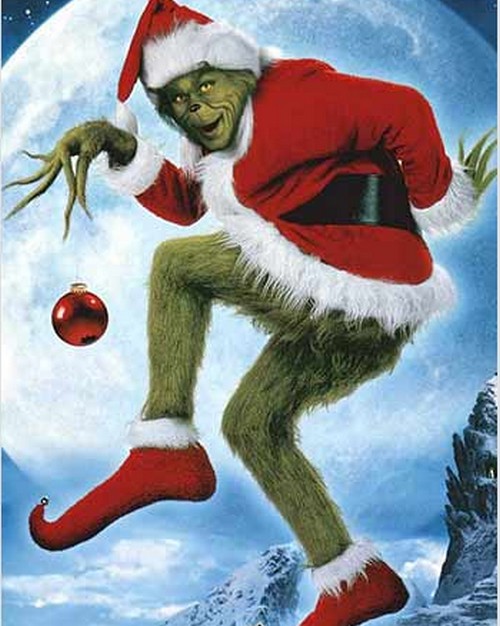 DIY Grinch Costume