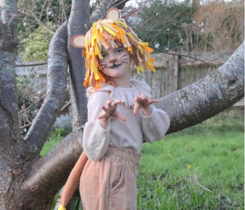 10 DIY Lion Costume Ideas For Kids And Adults To Make At Home