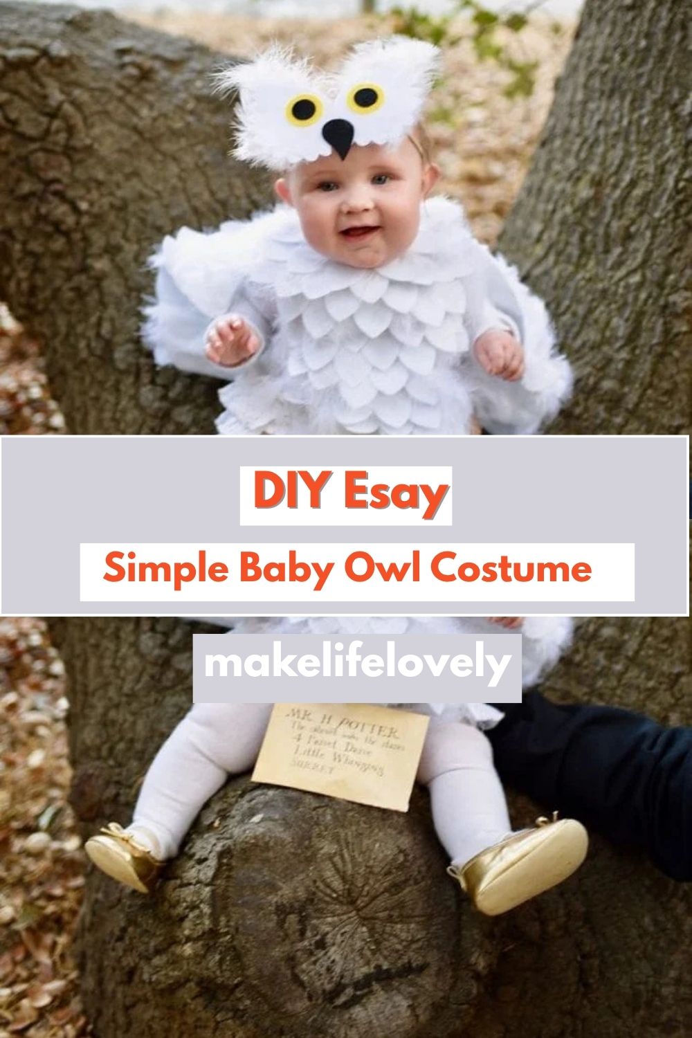 DIY Baby Esay Costume