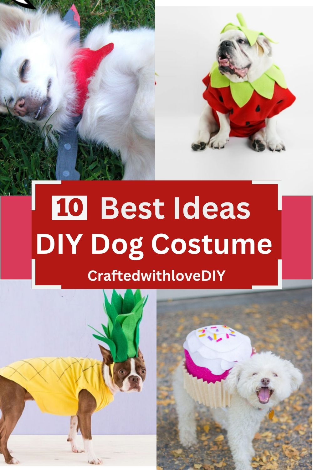 DIY Dog Costume