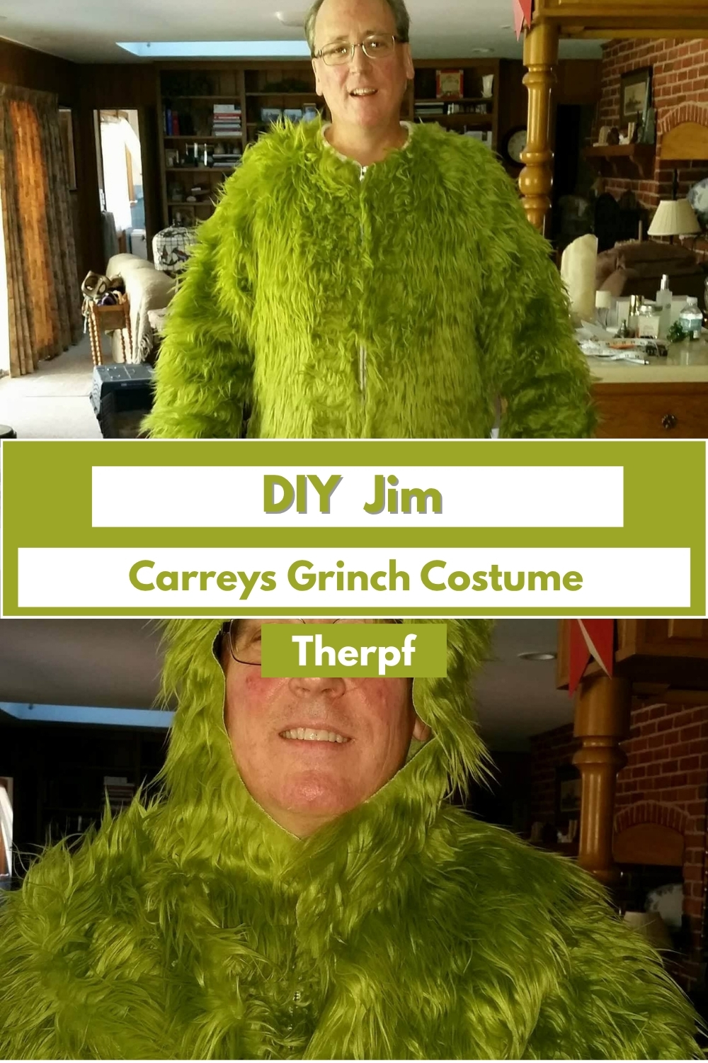 DIY Jim Carreys Grinch
