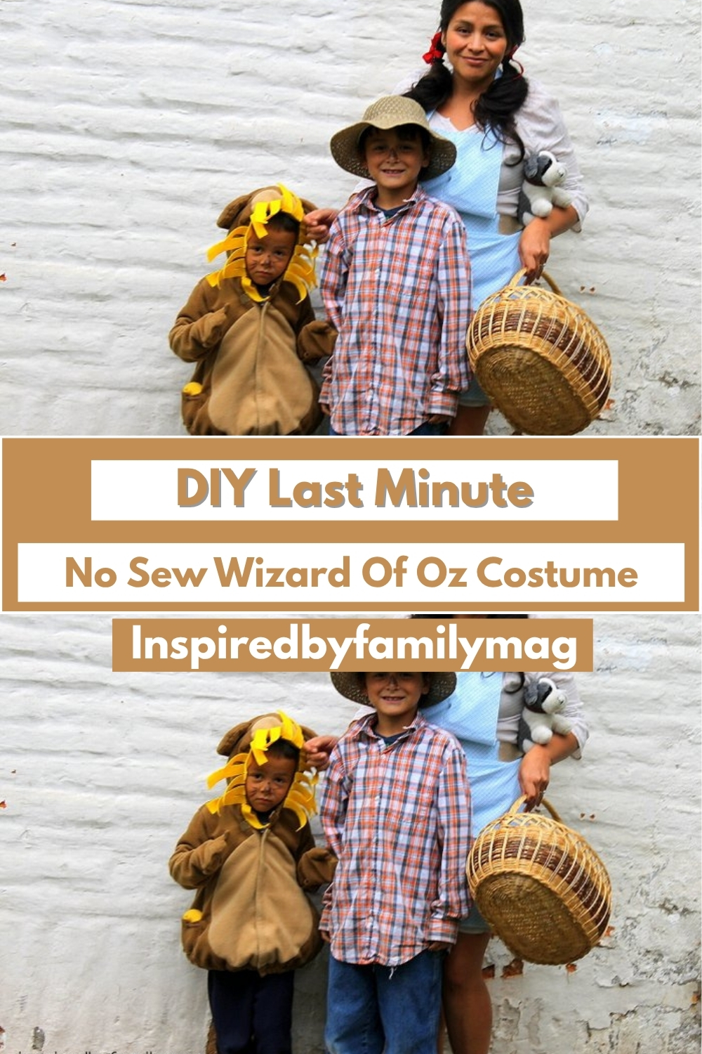 DIY Last Minute No Sew Wizard Of Oz