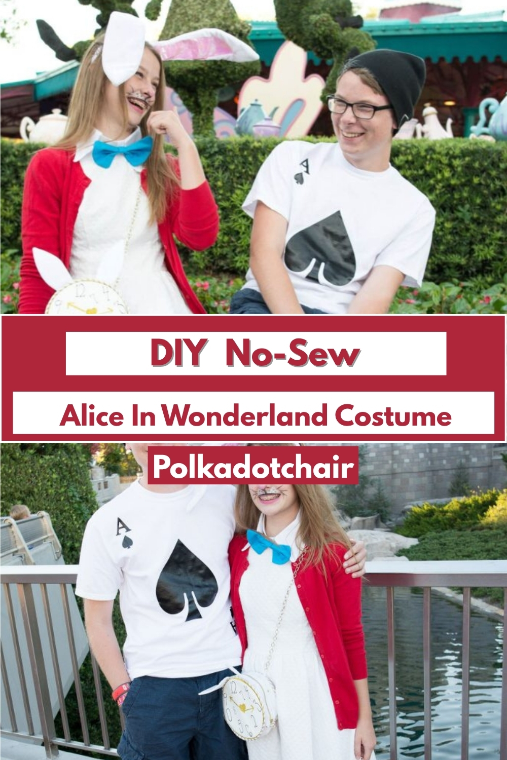 DIY No-Sew Alice In Wonderland