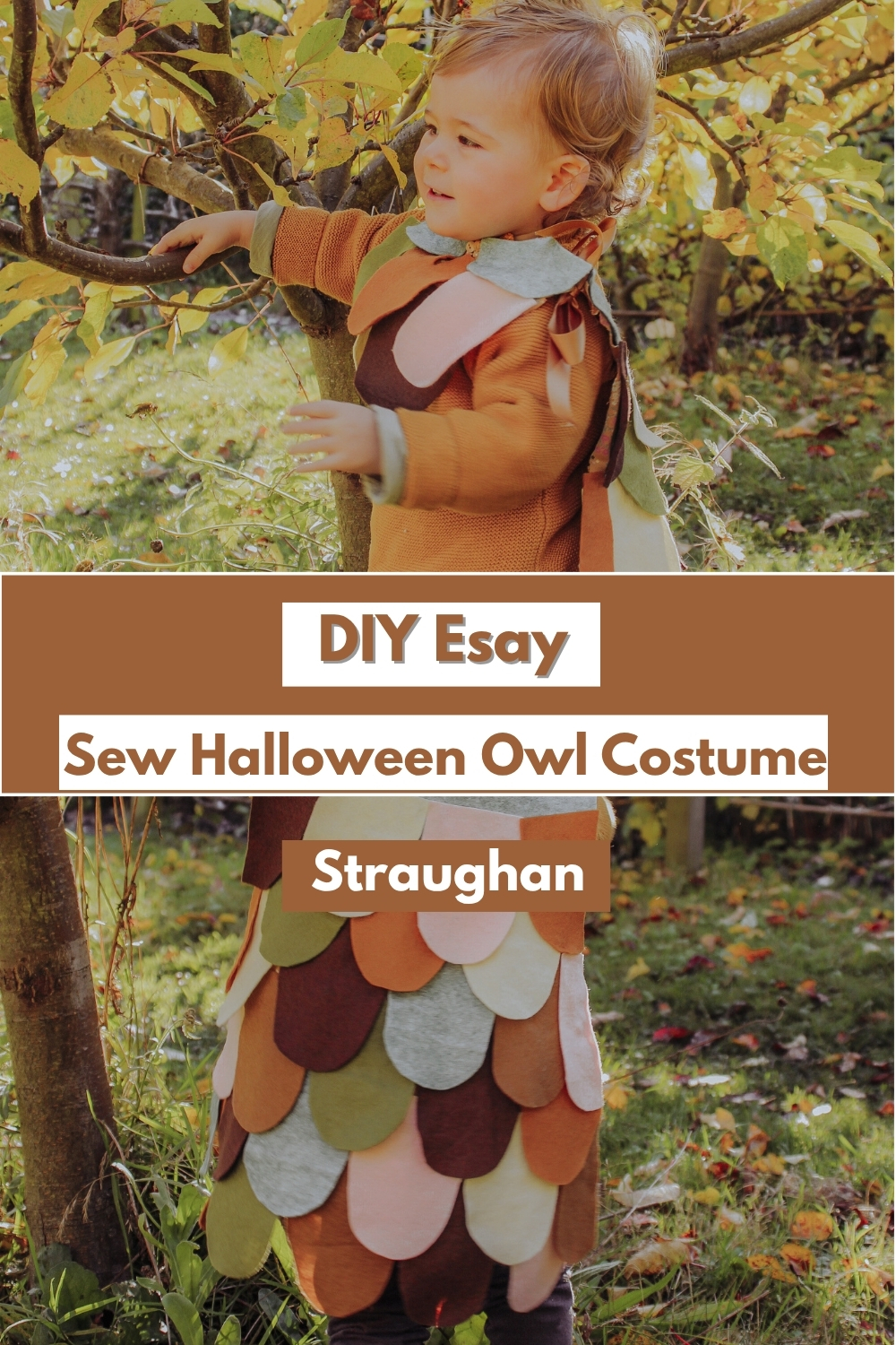 DIY No Sew Halloween Owl Costume