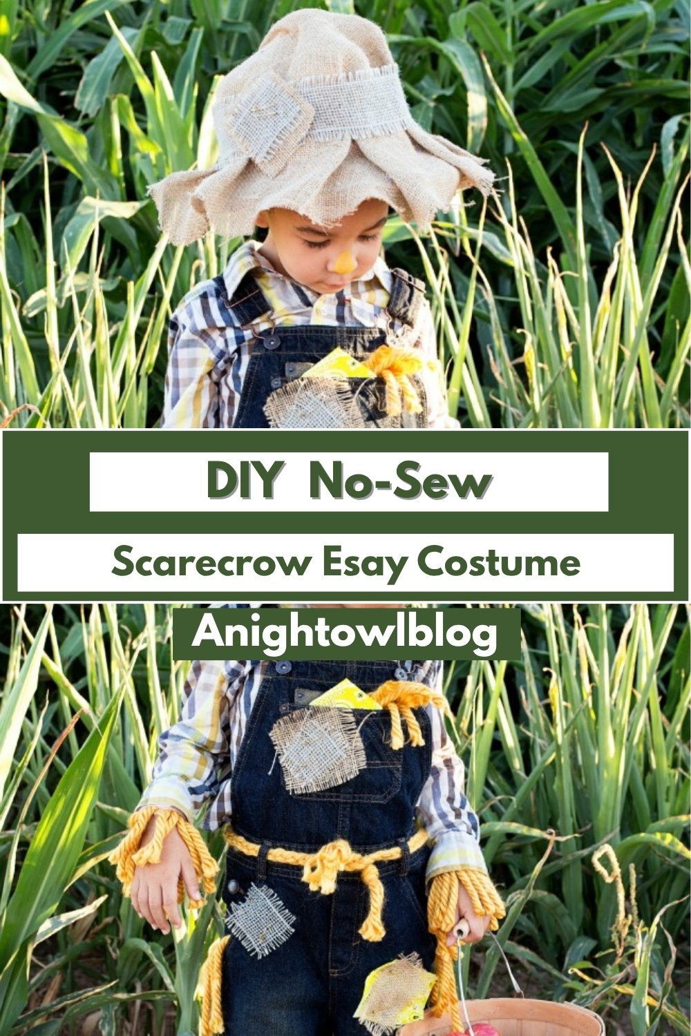 DIY No-Sew Scarecrow Esay