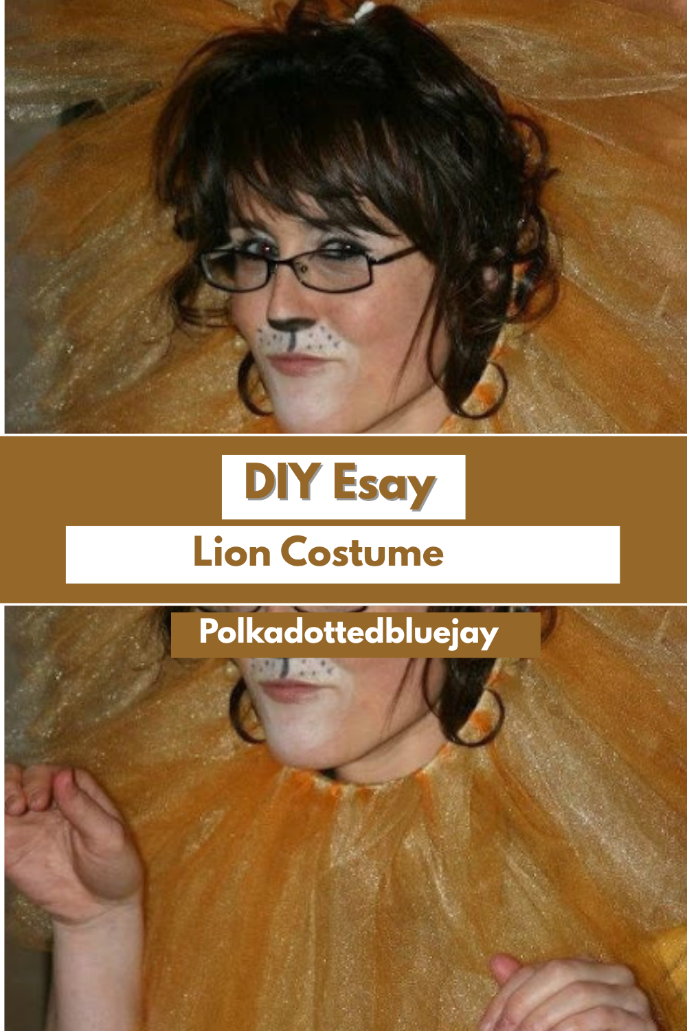 DIY Simple And Esay Lion Costume