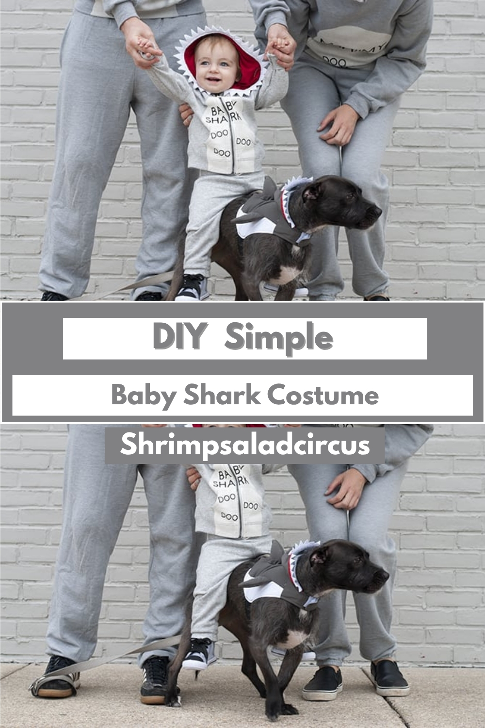 DIY Simple Baby Shark (1)