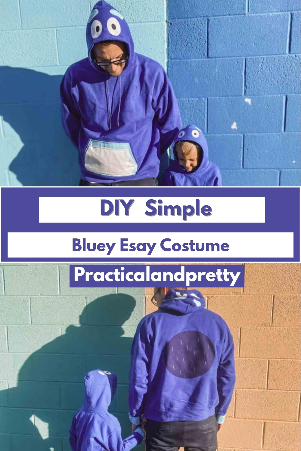 DIY Simple Bluey Esay