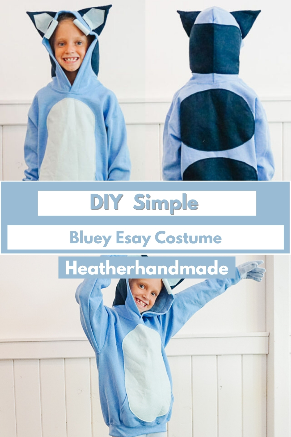 DIY Simple Bluey Esay