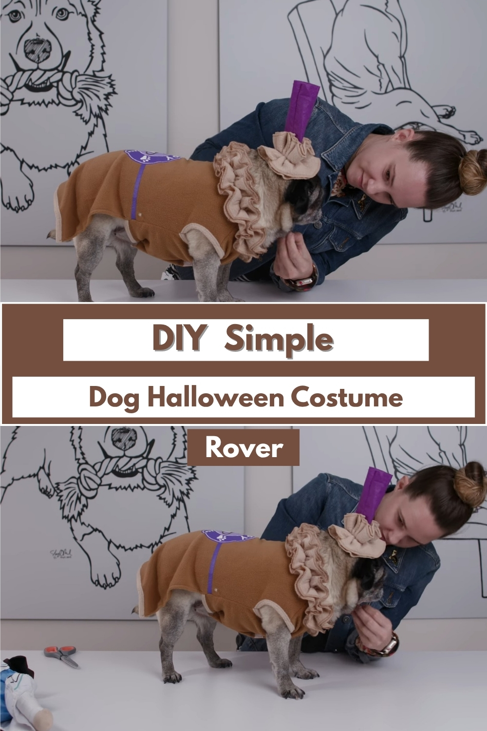 DIY Simple Dog Halloween