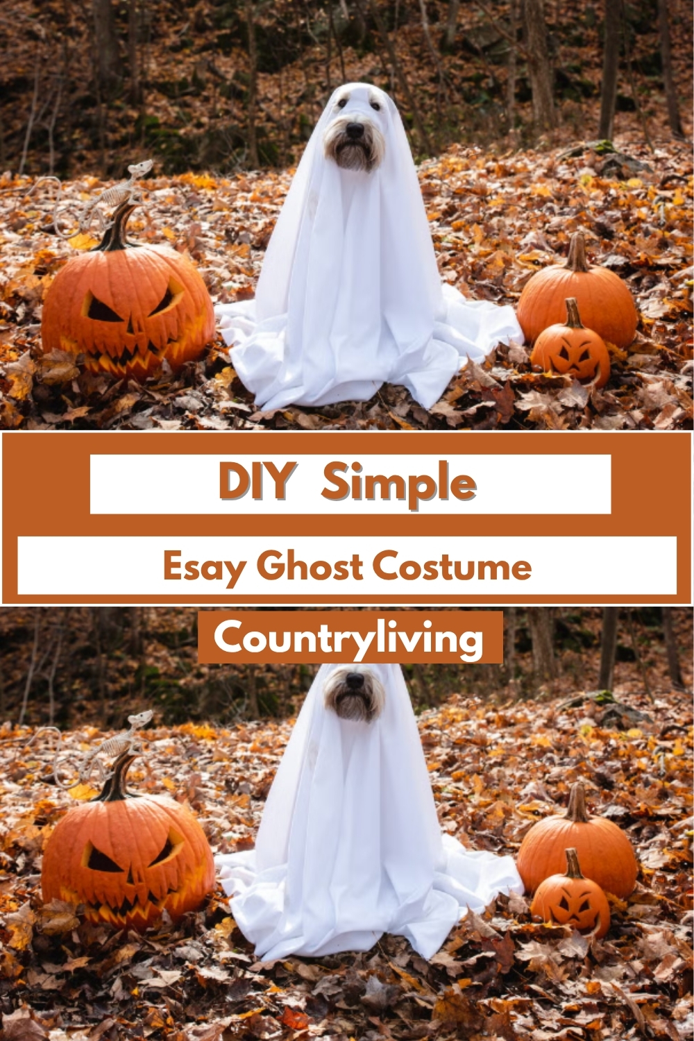 DIY Simple Esay Ghost