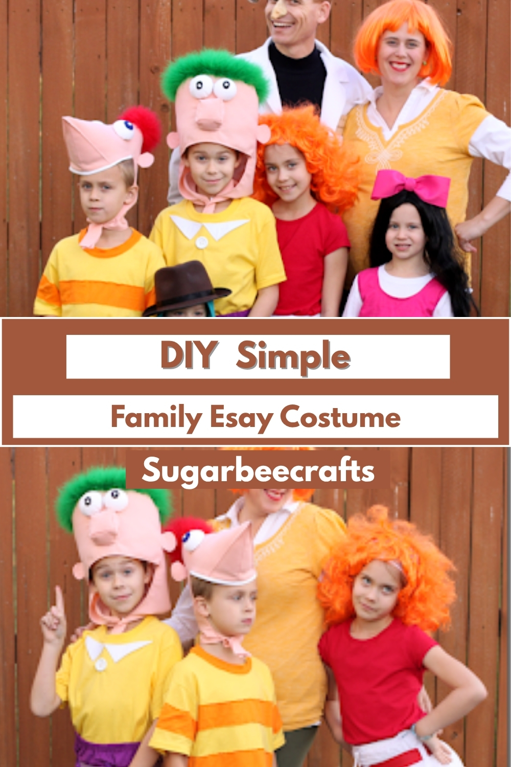 DIY Simple Family Esay