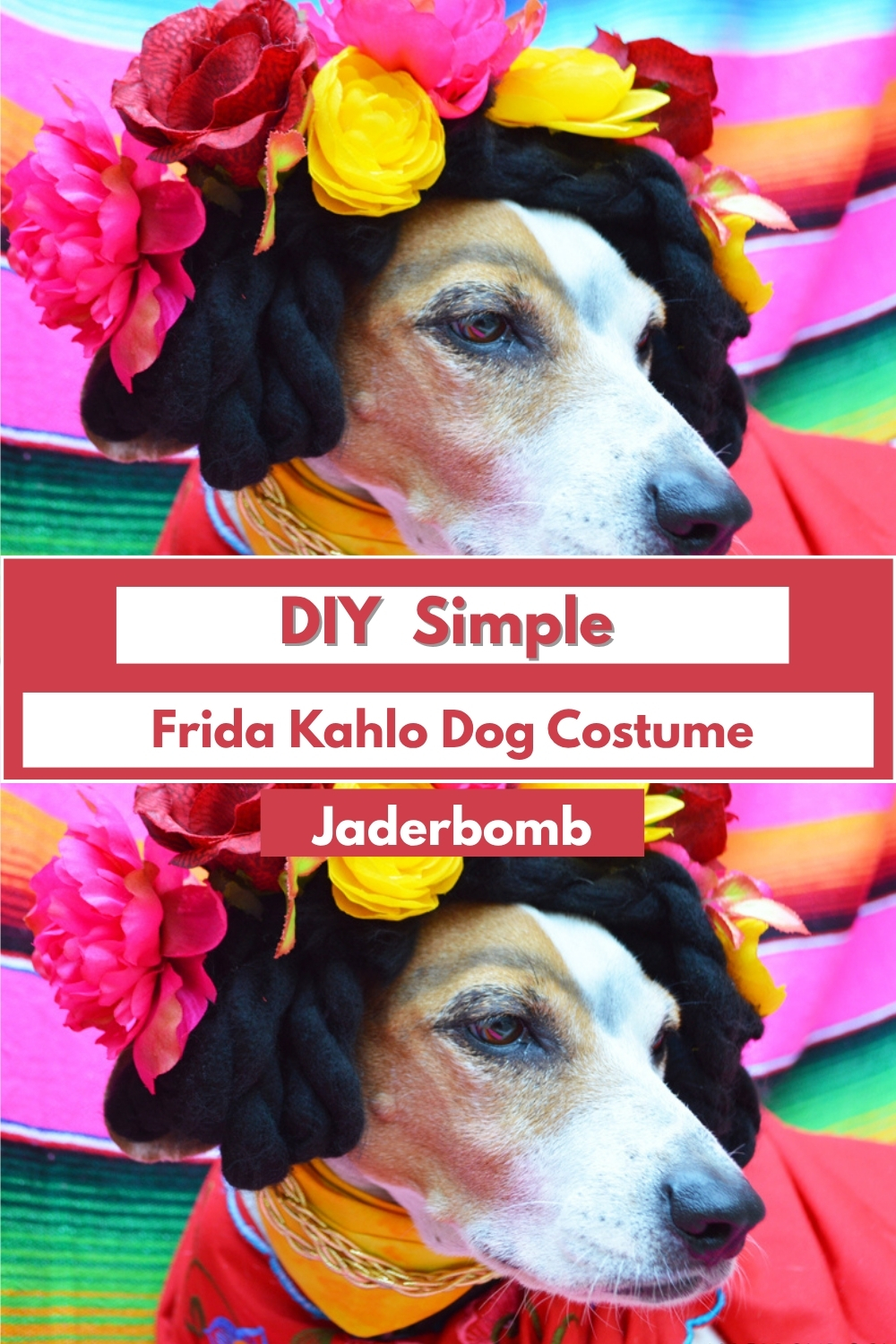 DIY Simple Frida Kahlo Dog