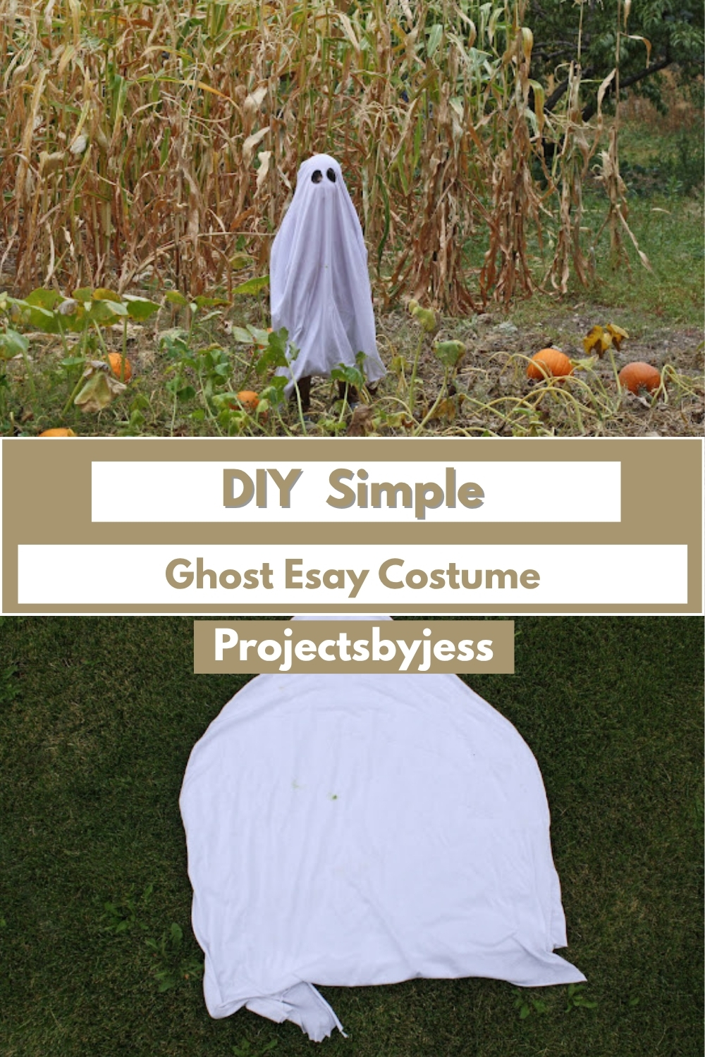 DIY Simple Ghost Esay (1)