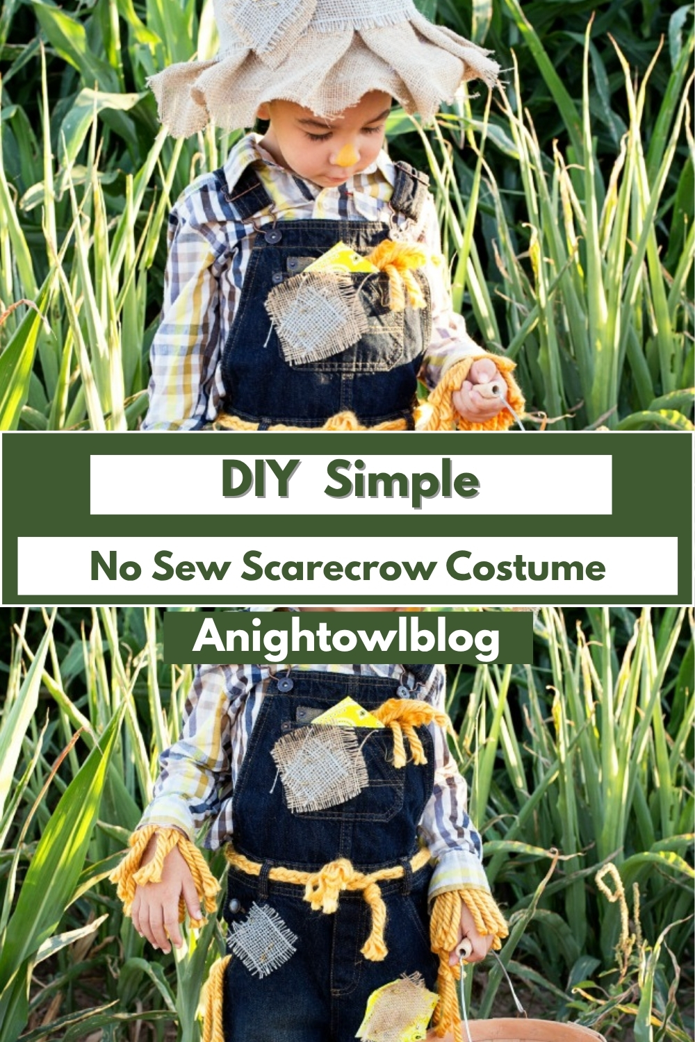 DIY Simple Last No Sew Scarecrow