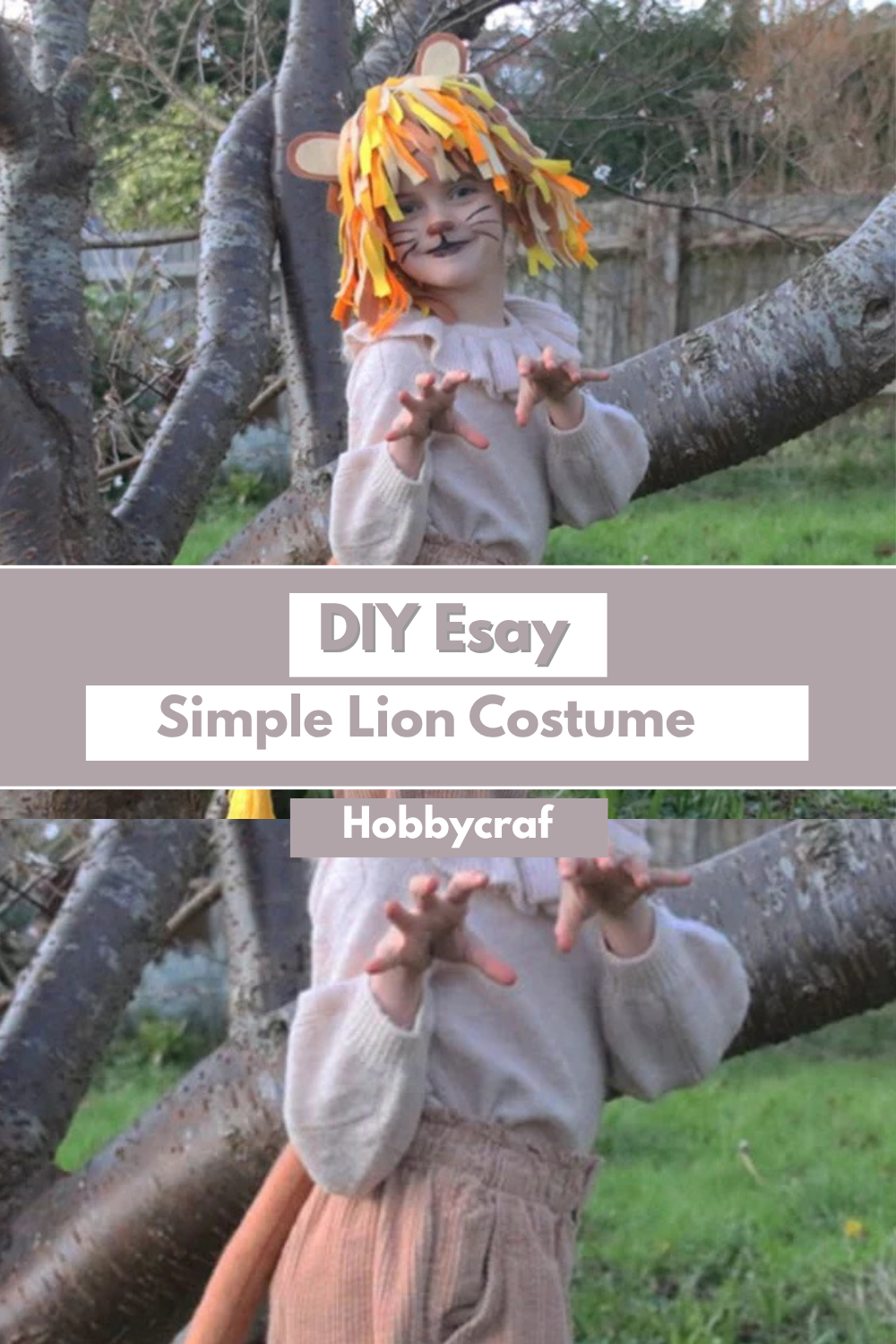 DIY Simple Lion Costume