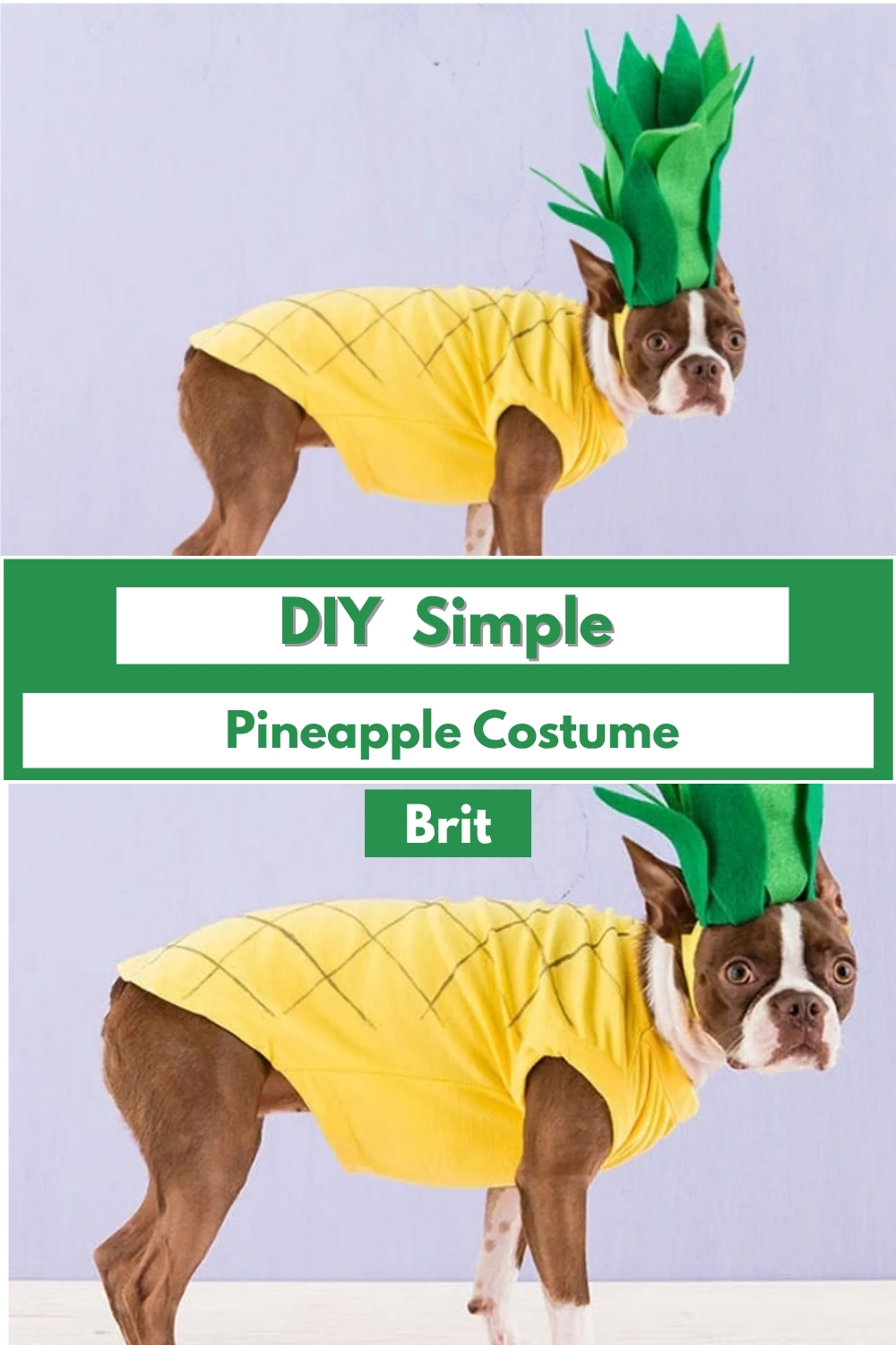 DIY Simple Pineapple