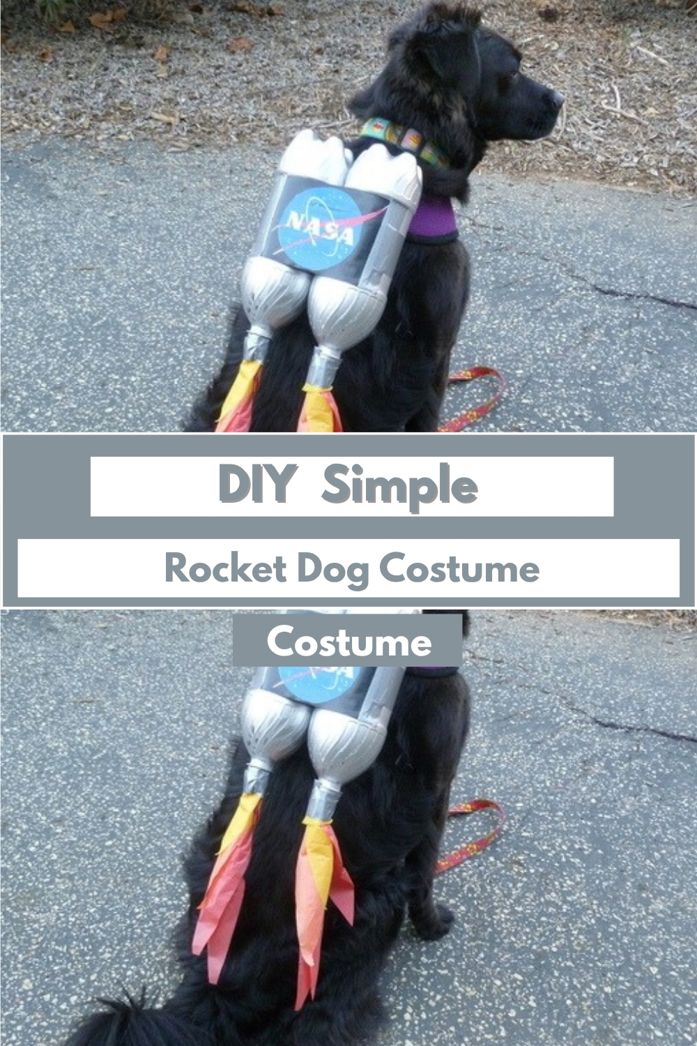 DIY Simple Rocket Dog
