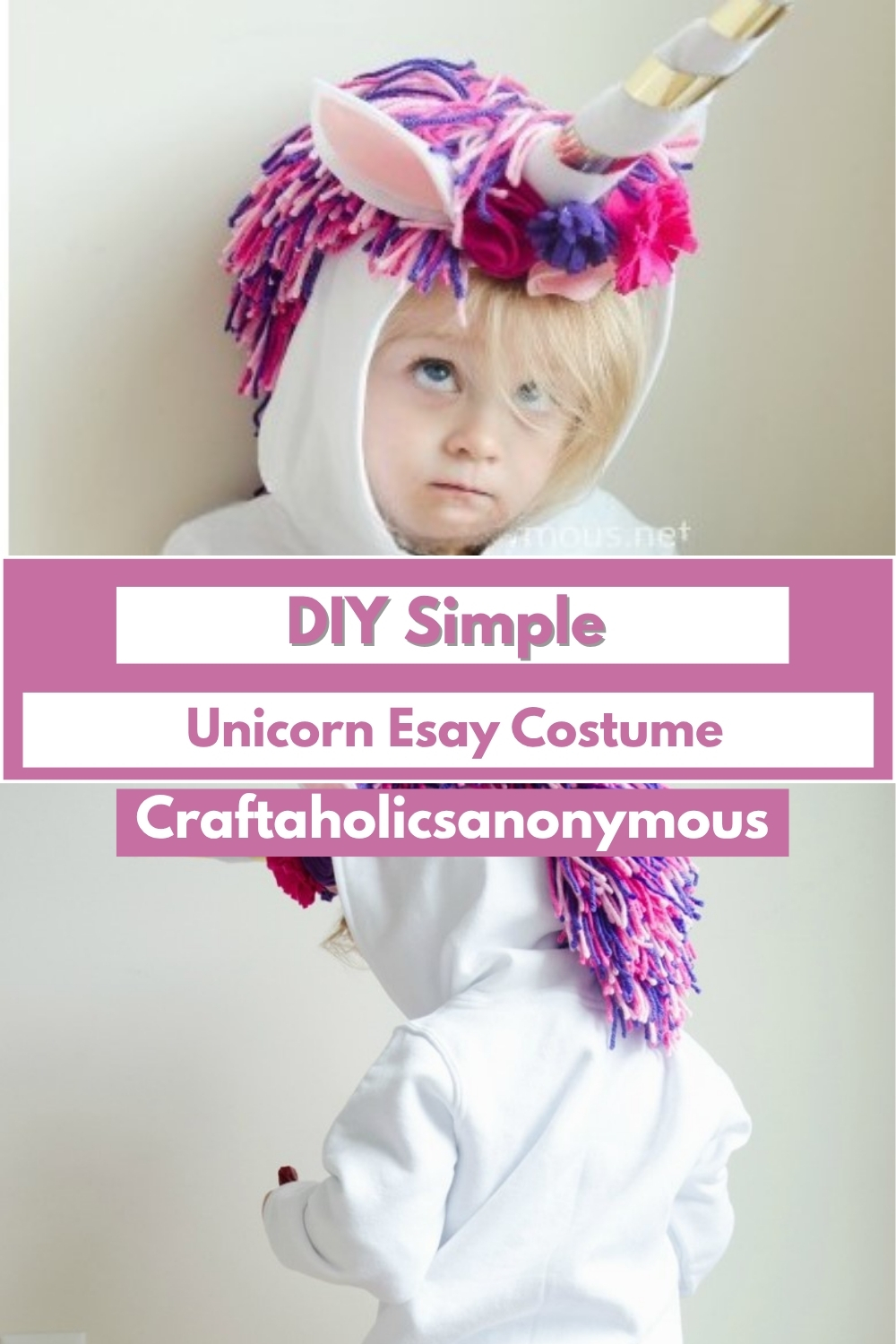 DIY Simple Unicorn Esay