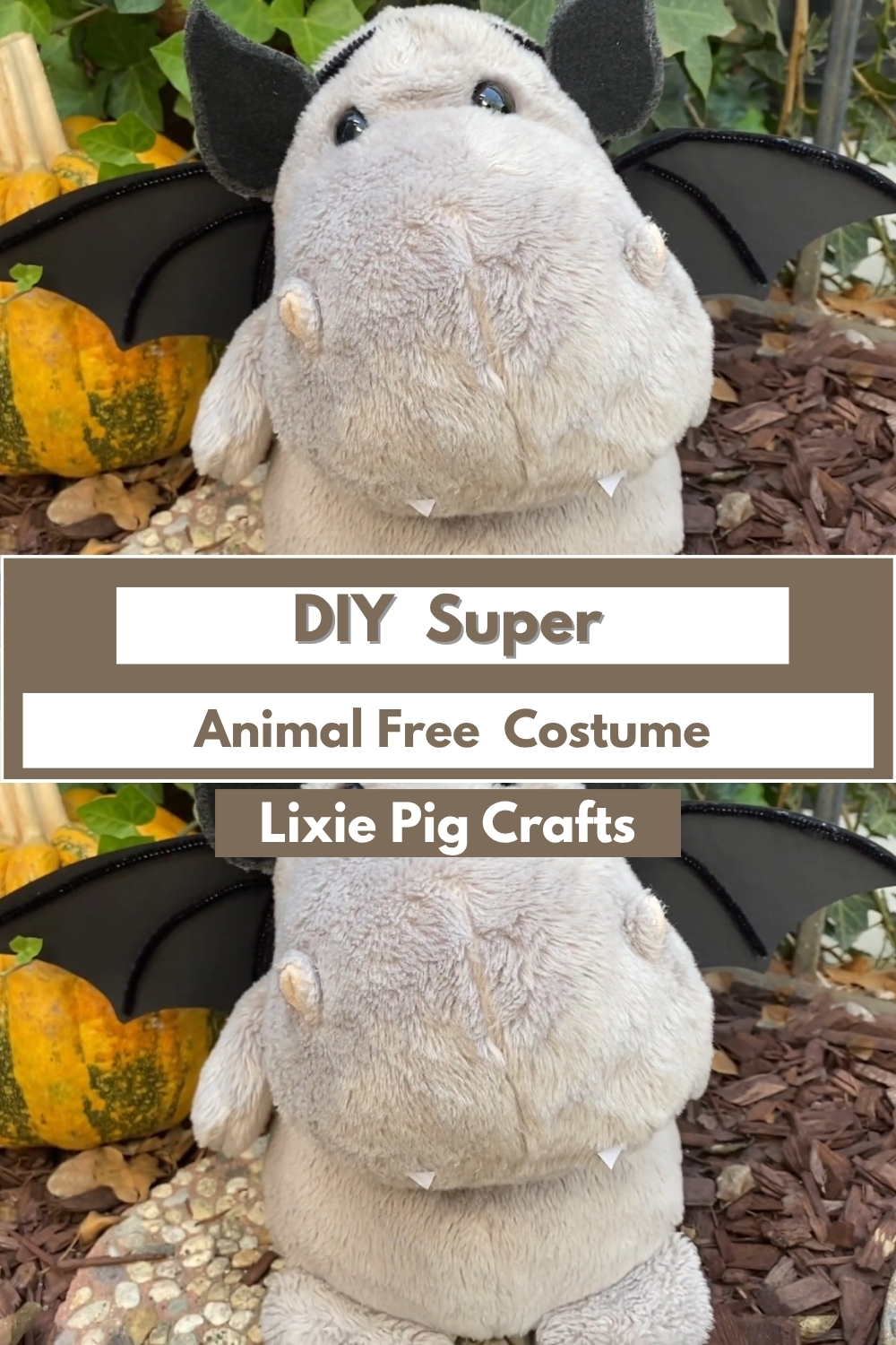 DIY Super Animal Free (1)