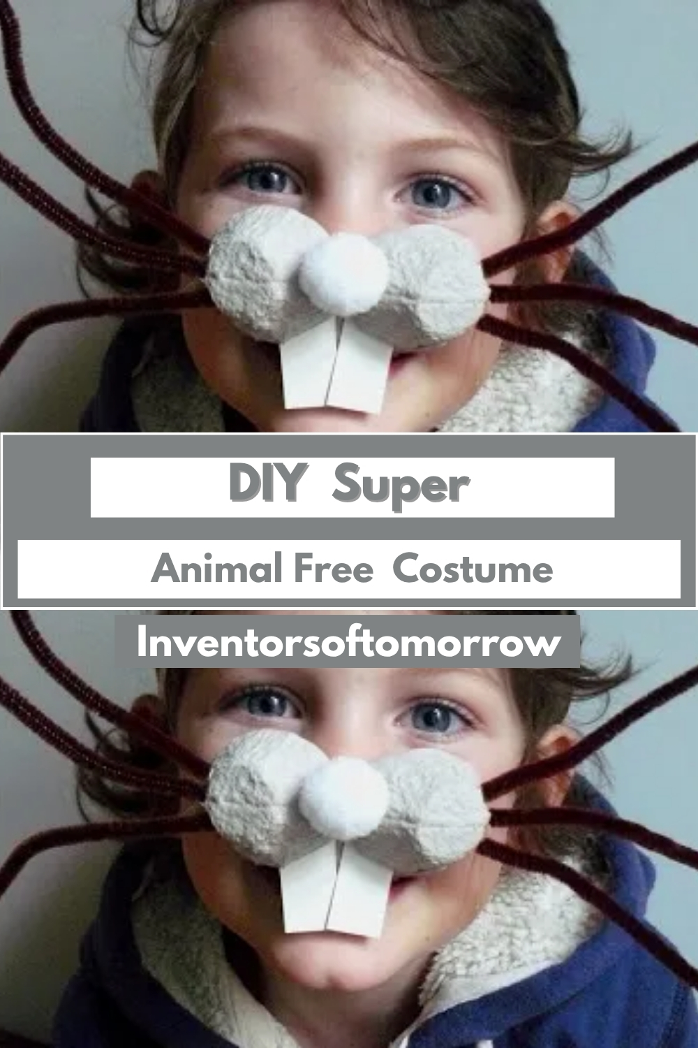 DIY Super Animal Free