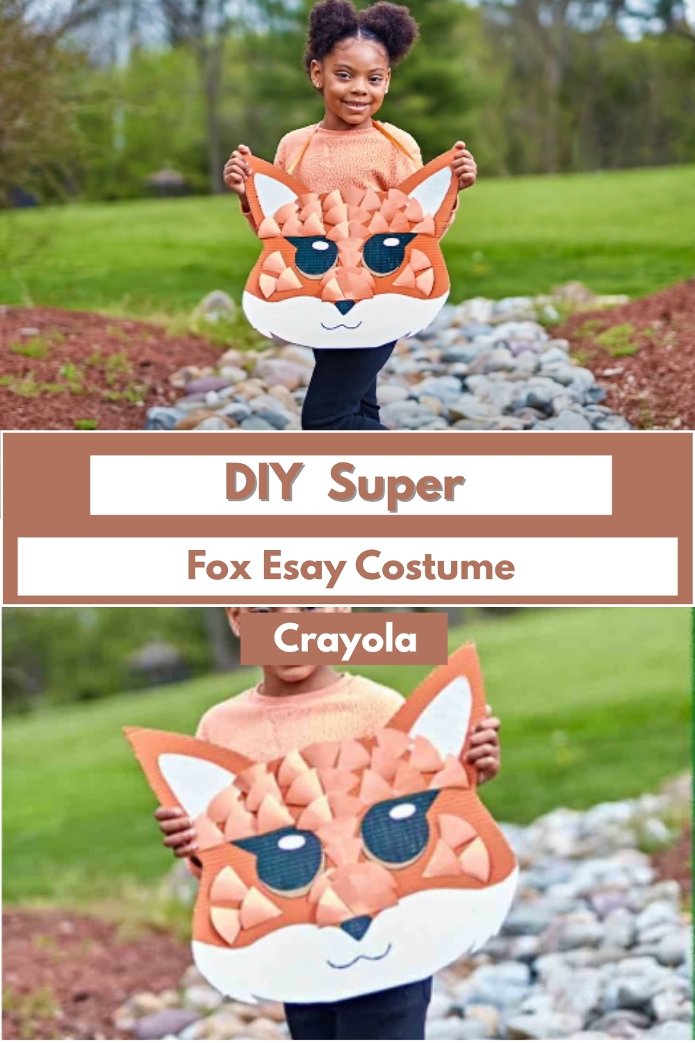 DIY Super Fox Esay
