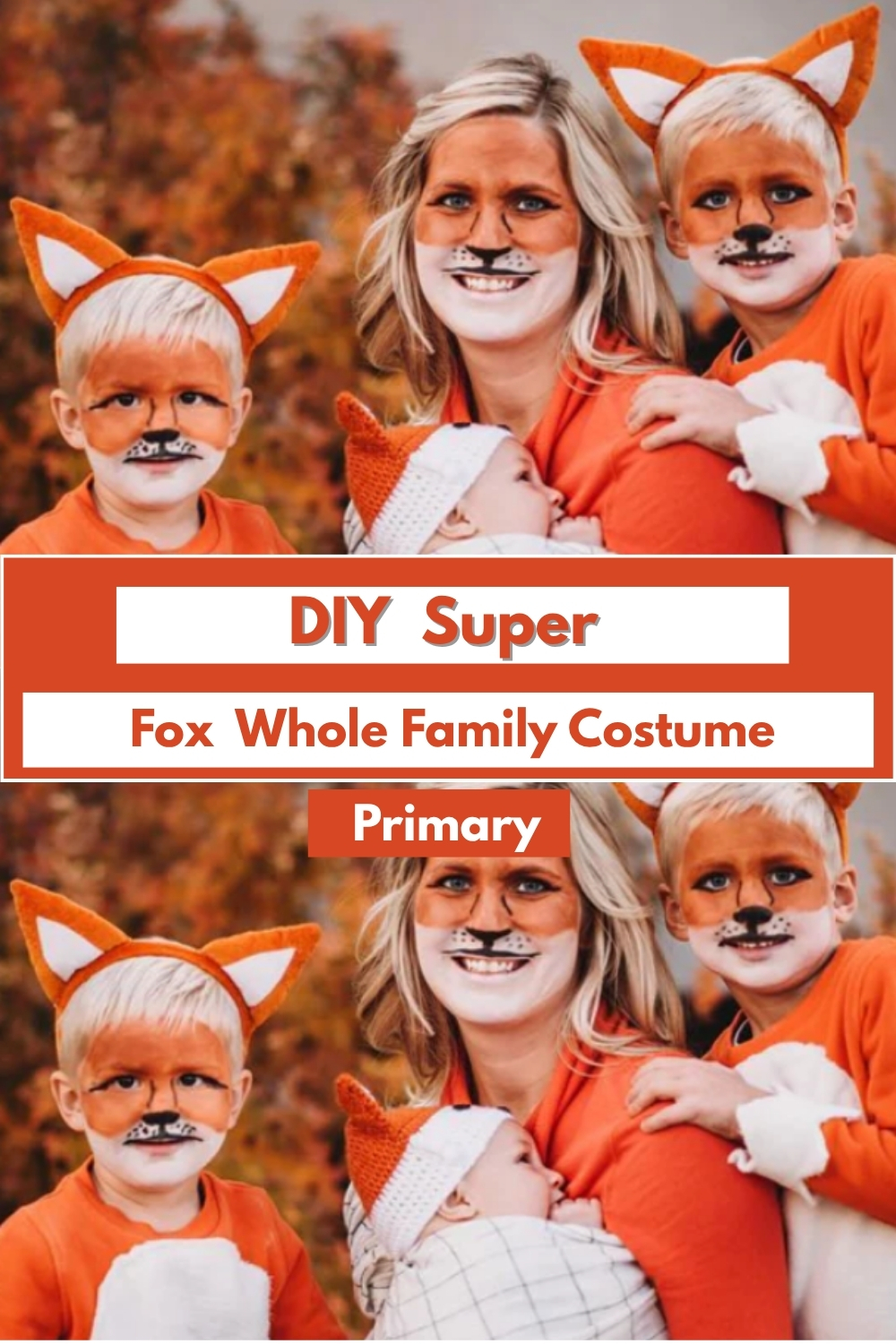DIY Super Fox For Whole Family