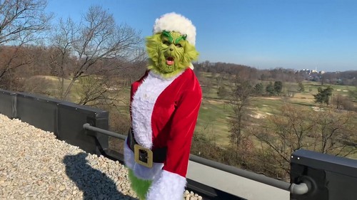 DIY Simple Grinch
