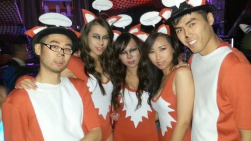 DIY Fox Costume