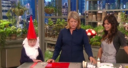 DIY Gnome Costume