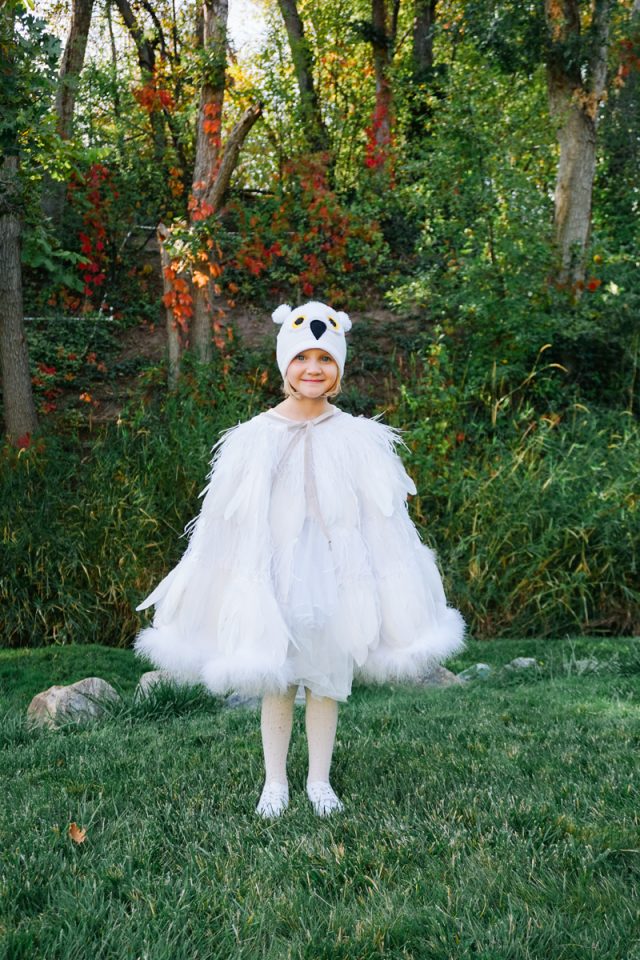 DIY-owl-costume